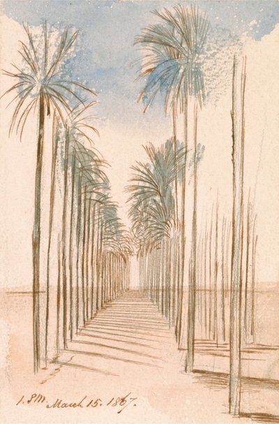 Avenue of Trees by Edward Lear